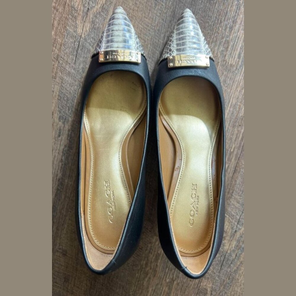 COACH Women Heels Leather Size 5
